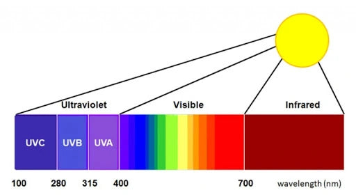 K2 Light Therapy 240 Device